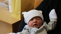 Isabella Goltschová se narodila  v ústecké porodnici 4.3. 2017 (22.58) Martině Lindové. Měřila 47 cm, vážila 3,03 kg.
