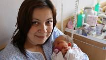 Viktorie Petrášková se narodila  v ústecké porodnici 5.3. 2017 (11.30) Lucii Petráškové. Měřila 50 cm, vážila 3,46 kg.