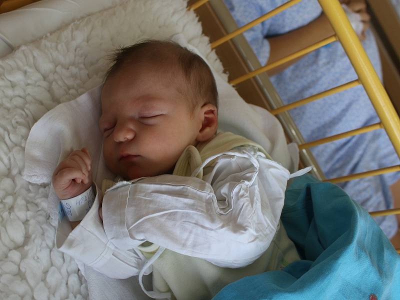 František Hrdlička se narodil Elišce Schakové z Věšťan 29. srpna v 8.20 hod. v ústecké porodnici. Měřil 48 cm a vážil 3,11 kg.