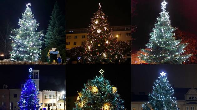 Hledáme nejkrásnější vánoční strom roku 2022 na Ústecku