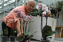 Výstava Tropické orchideje je k vidění v botanickém parku Přírodovědecké fakulty.