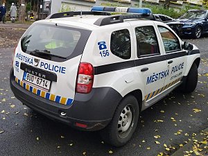 Městská policie v Ústí nad Labem, ilustrační snímek.