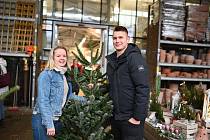 Prodej vánočních stromků v Ústí nad Labem.