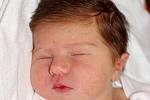 Ema Beňová se narodila v ústecké porodnici 22. 7. 2014 (06.50) mamince Evě Beňové z Ústí nad Labem. Měřila 49 cm a vážila 3,31 kg.