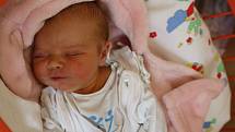 Lucie Kozáková se narodila Nikole Ernestové z Teplic 15.května v 8.15 hod. v ústecké porodnici. Měřila 51 cm a vážila 3,95 kg