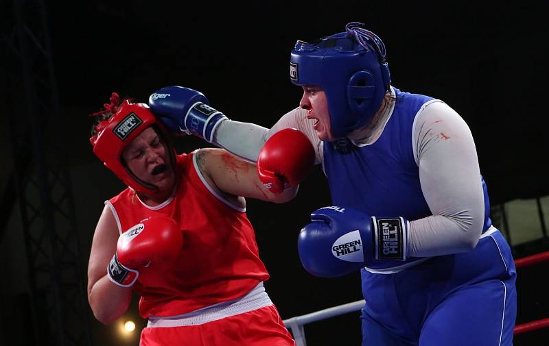 Finále 50. ročníku Velké ceny Ústí nad Labem v boxu.