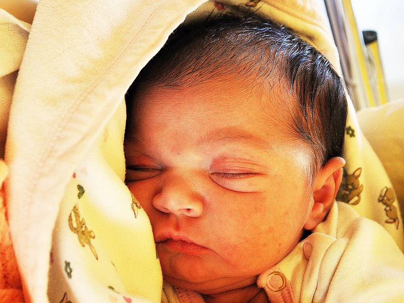 Sandra Ferková se narodila Gabriele Ferkové z Ústí nad Labem 2. června v 20,20 hodin v teplické porodnici. Měřila 47 cm, vážila 3,40 kg.