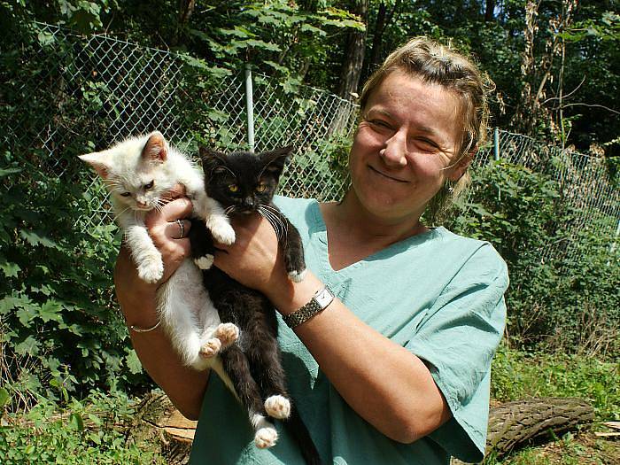 Jaroslava Dobrovolná, šéfová ústeckého útulku pro zvířata v nouzi, ukazuje dvě z dvaceti pěti opuštěných koťat, která tu našla azyl.