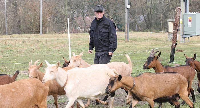 Fotoreportér Deníku pracoval na soukromé kozí farmě Nová Víska u Dolní Poustevny na Děčínsku v rámci reportáže Na vlastní kůži. Na starost měl třicet koz, dojil je a krmil. 