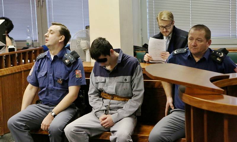Před senátem Krajského soudu v Ústí nad Labem stanul obžalovaný Pavel Jan N. Obžaloba ho vinní ze zneužívání nezletilých, dětské pornografie a krádeže.