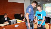 Případem brutální vraždy teplické prostitutky se ve středu začal zabývat Krajský soud v Ústí nad Labem. Obžalovaným je 29letý Ukrajinec Andrii Matsola.