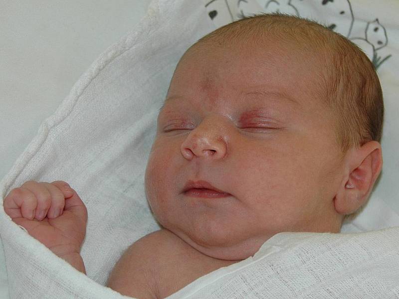 Diana Pšanská,  porodila v ústecké porodnici dne 26. 9. 2011 (12.25) dceru Dianu (50 cm, 3,55 kg). 