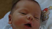Dana Swistová,  porodila v ústecké porodnici dne 23. 9. 2011 (1.17) syna Daniela (51 cm, 3,7 kg). 