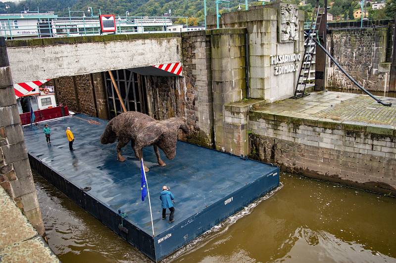 Sedmimetrový drátěný pes překonal střekovská zdymadla v Ústí