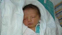 Alena Hergetová, porodila v ústecké porodnici dne 18. 5. 2011 (19.10) syna Sebastiana (50 cm, 3,65 kg).