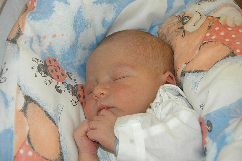 Tereza Révajová, porodila v ústecké porodnici dne 23. 5. 2011 (16.03) syna Milana (49 cm, 3,3 kg).