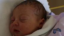 Carla Di Vincenzo se narodila v ústecké porodnici 13. 6. 2017 (7.50) Paulině Marciniak. Měřila 48 cm, vážila 3,07 kg.