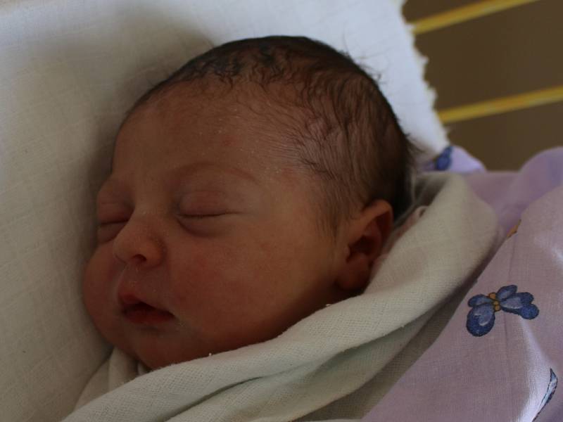 Carla Di Vincenzo se narodila v ústecké porodnici 13. 6. 2017 (7.50) Paulině Marciniak. Měřila 48 cm, vážila 3,07 kg.