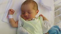 Alžběta Krausová se narodila Petře Krausové z Bíliny 24. listopadu ve 23.31 hod. v ústecké porodnici. Měřila 46 cm a vážila 2,41 kg