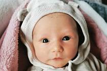 Karolína Benešová se narodila 22. prosince ve 20.37 hodin rodičům Pavle Růžkové a Petru Benešovi v Mlékojed. Měřila 49 cm a vážila 3,02 kg.