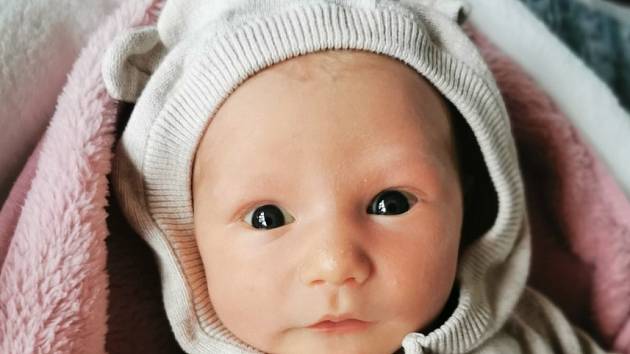 Karolína Benešová se narodila 22. prosince ve 20.37 hodin rodičům Pavle Růžkové a Petru Benešovi v Mlékojed. Měřila 49 cm a vážila 3,02 kg.