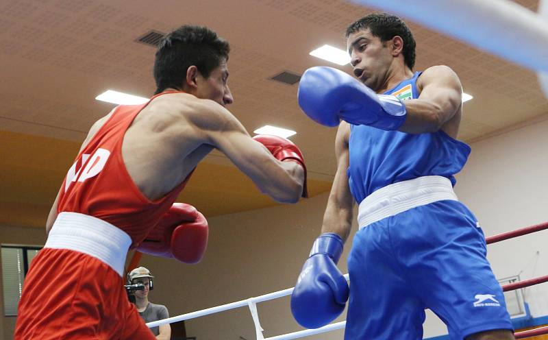 Velká cena Ústí nad Labem v boxu 2017, finálové zápasy