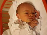 Alice Šterclová se narodila Pavlíně Šterclové a Romanu Šterclovi z Ústí nad Labem 1. října v 19.35 hod. v ústecké porodnici. Měřila 50 cm a vážila 3,05 kg.