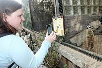 Také ústecká zoo je mezi čtrnácti zahradami v České republice, v nichž mohou návštěvníci hlasovat o NEJ... mládě roku 2013.