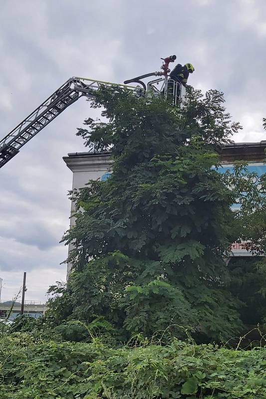 Požár bývalého autobazaru v Přístavní ulici v Ústí nad Labem