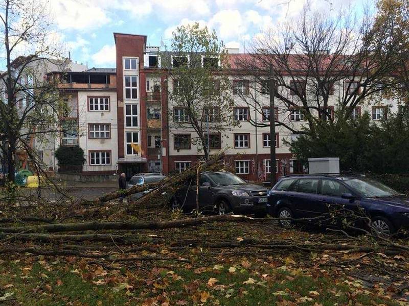 Strom spadl na auto v Palachově ulici v Ústí.