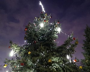 Vánoční strom v Chlumci. Archivní foto