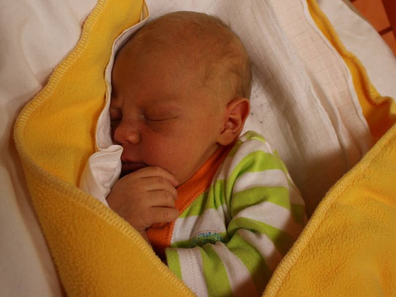 Matěj Melzer se narodil  v ústecké porodnici 25. 2. 2017 (7.10) Michaele Melzerové.  Měřil 50 cm, vážil 3,38 kg.