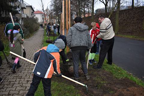 S výsadbou lip v Truhlářově ulici pomáhaly děti z dětského domova na Střekově.