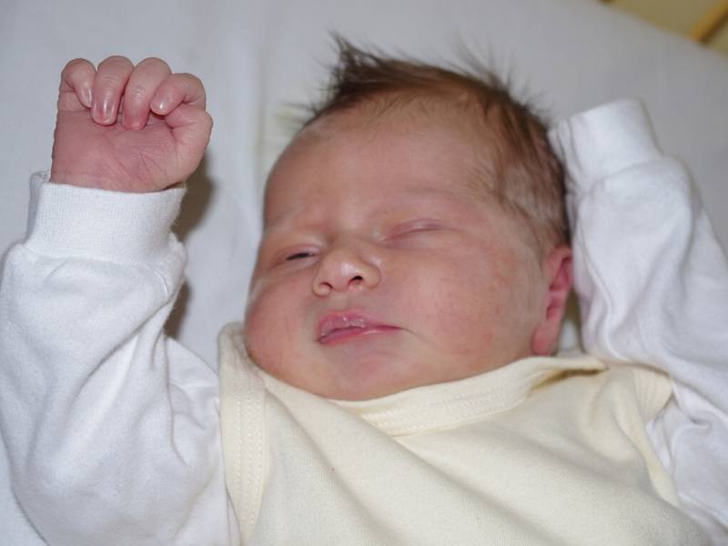 Andrea Sirotková, se narodila v ústecké porodnici dne 23. 2. 2013 (6.42) mamince Olze Sirotkové, měřila 51 cm, vážila 3,8 kg.