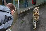 Zoo Ústí nad Labem.