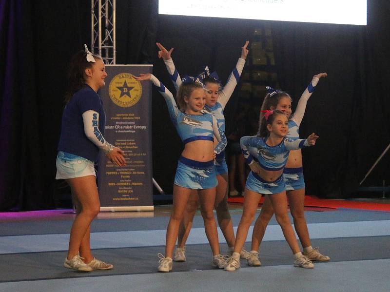 Basta Cheer Cup 2017 ve Sportcentru Sluneta.