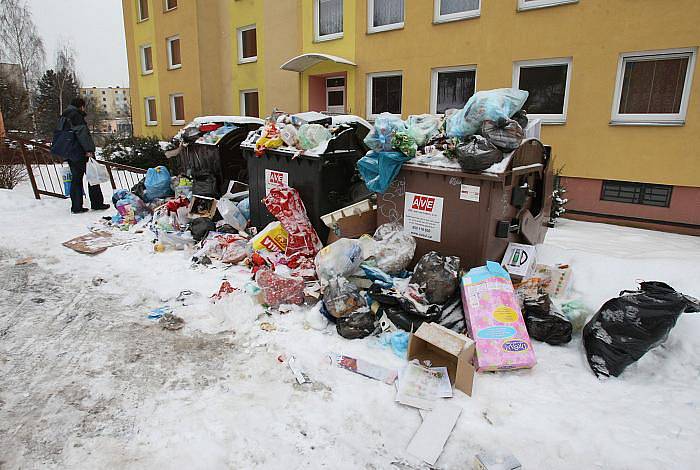 Nepořádek kolem kontejnerů na krásnobřezenském sídlišti v ulici Žežická.