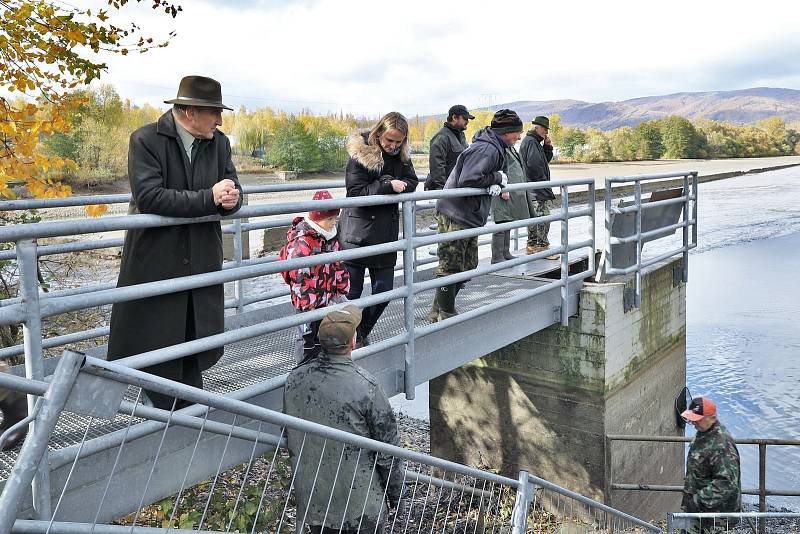 I letos došlo na oblíbenou akci, kterou je výlov Habrovického rybníka.