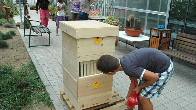 Účastníci letní školy si na katedře biologie prohlížejí úl se skleněnými průhledy. Zatím v něm ale včely nejsou, počkat musí do příštího léta.
