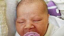 Elisabeth Lovásová se narodila 29. listopadu v 11.45 hodin mamince Nicol Lovásové z Teplic. Měřila 48 cm a vážila 3,15 kg.