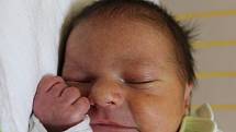 Jakub Pavlata se narodil v ústecké porodnici 22.10.2015 (8.08) mamince Michaele Pavlatové. Měřil 45 cm, vážil 2,92 kg.