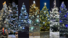 Vánoční strom Deníku - v krajském finále zvítězil strom z Velkého Šenova na Děčínsku.