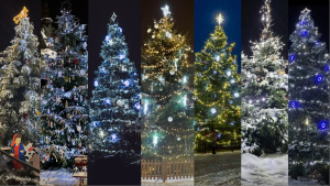 Vánoční strom Deníku - v krajském finále zvítězil strom z Velkého Šenova na Děčínsku.