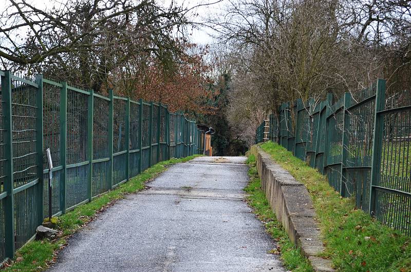 Také ZOO v Ústí nad Labem musí být kvůli opatřením proti šíření koronaviru uzavřena. Deník se tam vydal na návštěvu.