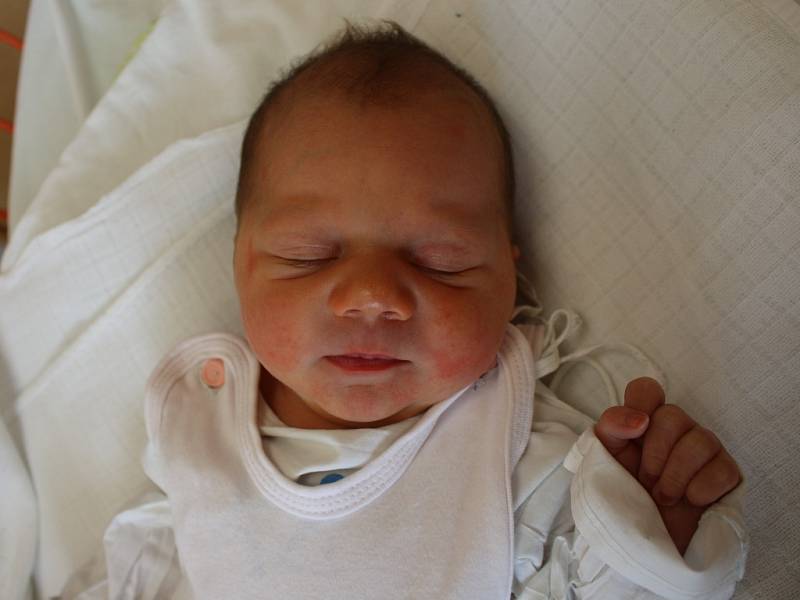 Eva Procházková se narodila v ústecké porodnici 13. 6. 2017 (22.35) Kateřině Procházkové. Měřila 48 cm, vážila 3 kg.