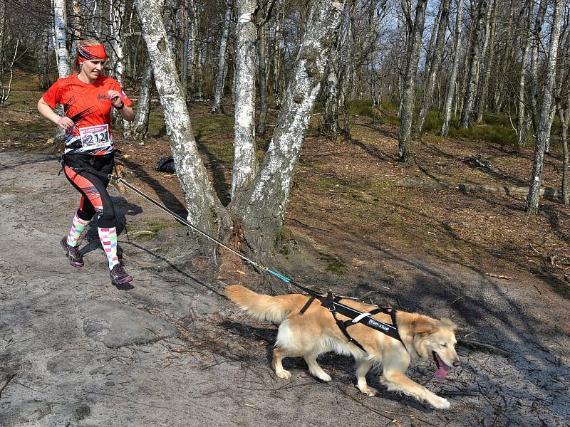 V Tisé pokračoval běžecký seriál Český kros 2019 závodem psovodů