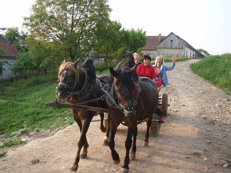 Jak se cestuje po českých vesničkách v Rumunsku? Zkusila to Eva Mrzílková z Jirkova (v červeném tričku). 