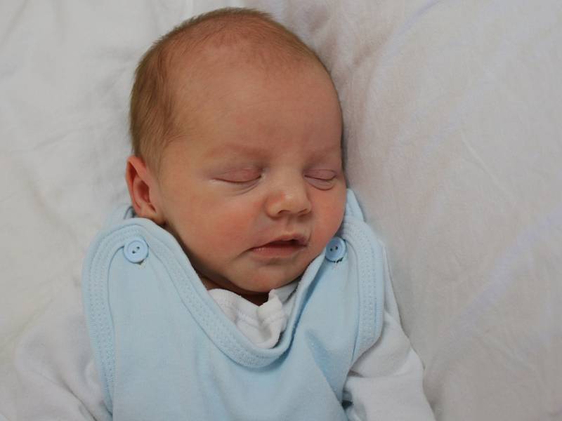 Boris Rittig se narodil v ústecké porodnici 24. 4. 2017 (13.14) Michaele Rittigové.  Měřil 49 cm, vážil 2,6 kg.