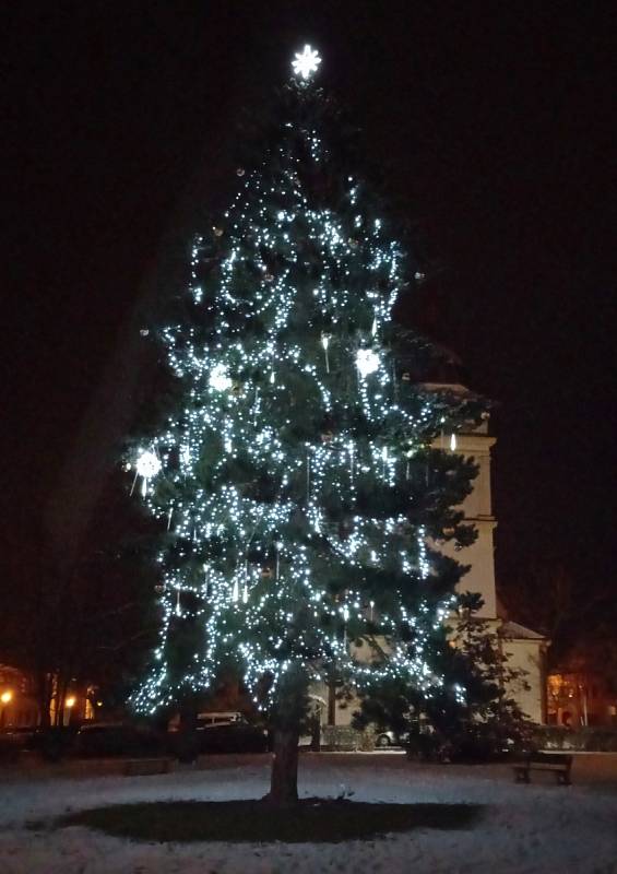 Vánoční strom v Chabařovicích u kostela