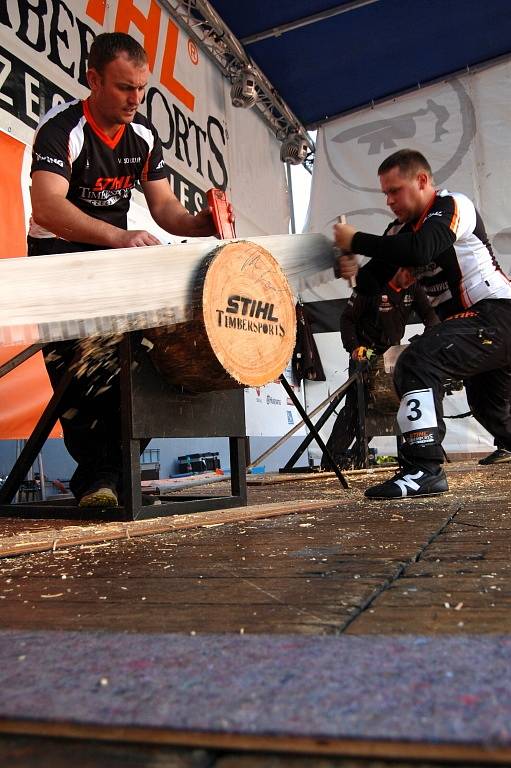 Festival dřeva v ústeckém letním kině.